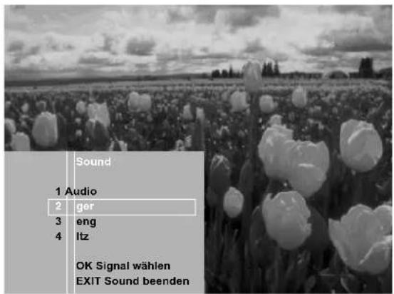 Sound 1 Audio 2 ger 3 eng 4 Itz OK Signal wählen EXIT Sound beenden
