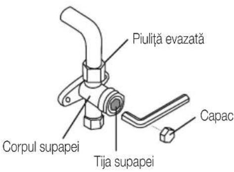 Piuliță evazată Capac Corpul supapei Tija supapei