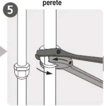 5 perete