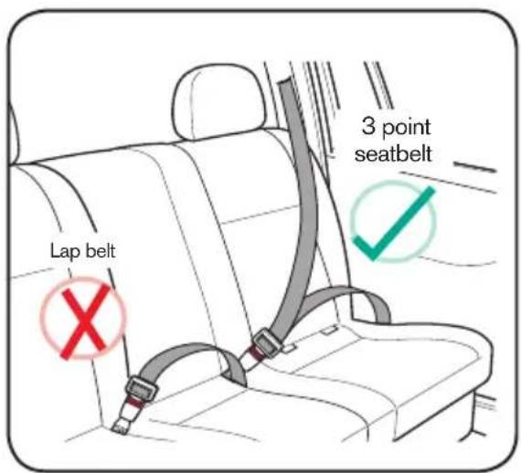 3 point seatbelt Lap belt