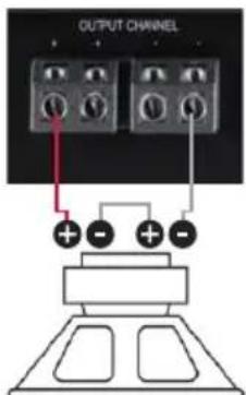 OUTPUT CHANNEL + - + -