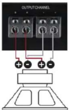 OUTPUT CHANNEL + - + -