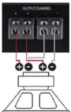 OUTPUT CHANNEL + - + -