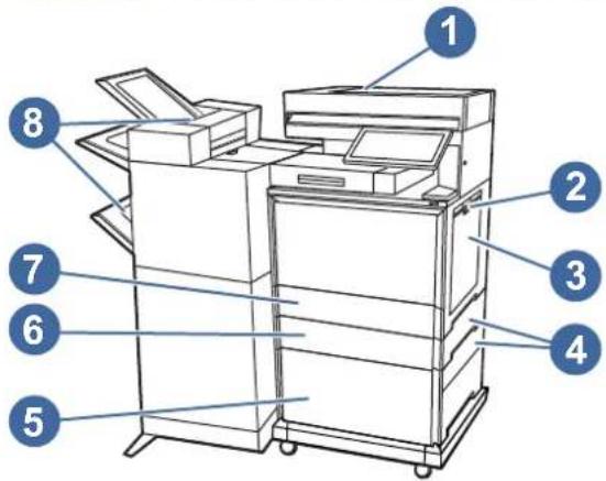 HP Color LaserJet Enterprise MFP 6800dn - Mögliche Stellen für Papierstaus - 2