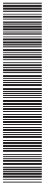 STIHL RE 120 Plus - Curățător de mare presiune STIHL RE 120,130,140PLUS - 2
