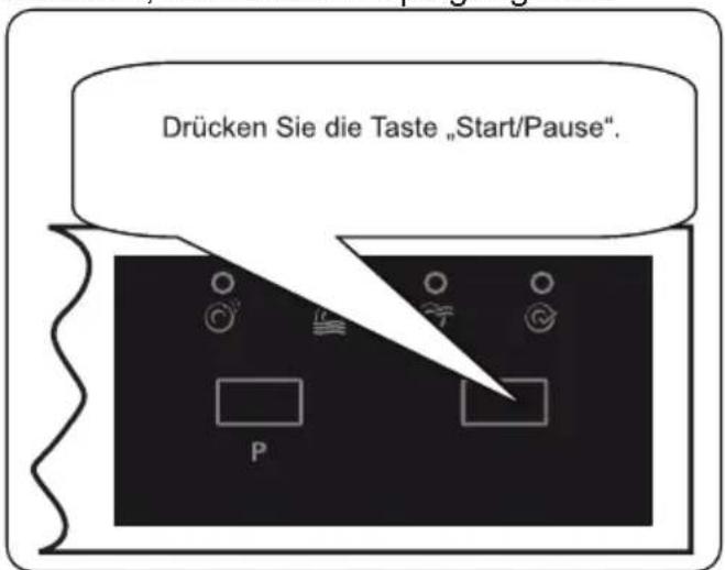 Drücken Sie die Taste „Start/Pause“.