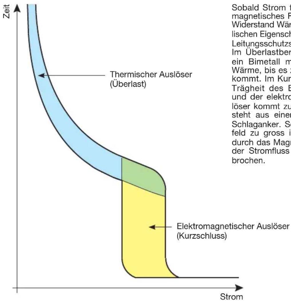 HAGER SN013 - Funktion Leitungsschutzschalter - 2