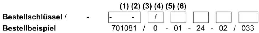 Jumo miroTRON - Beschreibung - 1