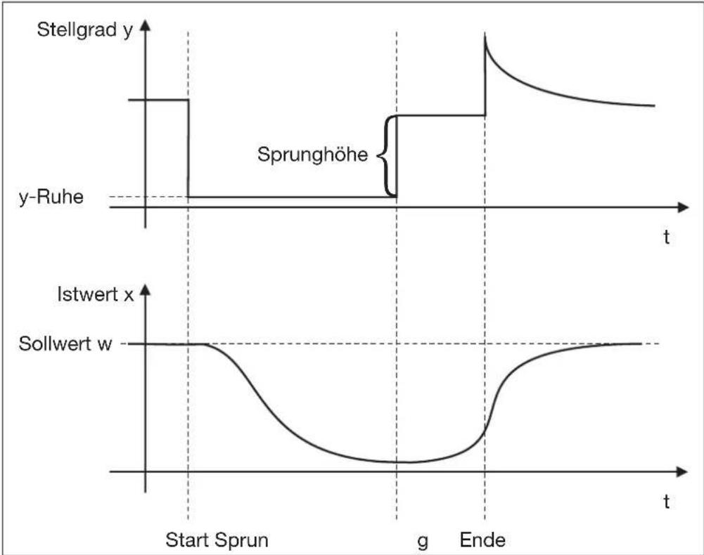 Jumo dTRON 308H - Hauptanwendungen der Sprungantwortmethode: - 3