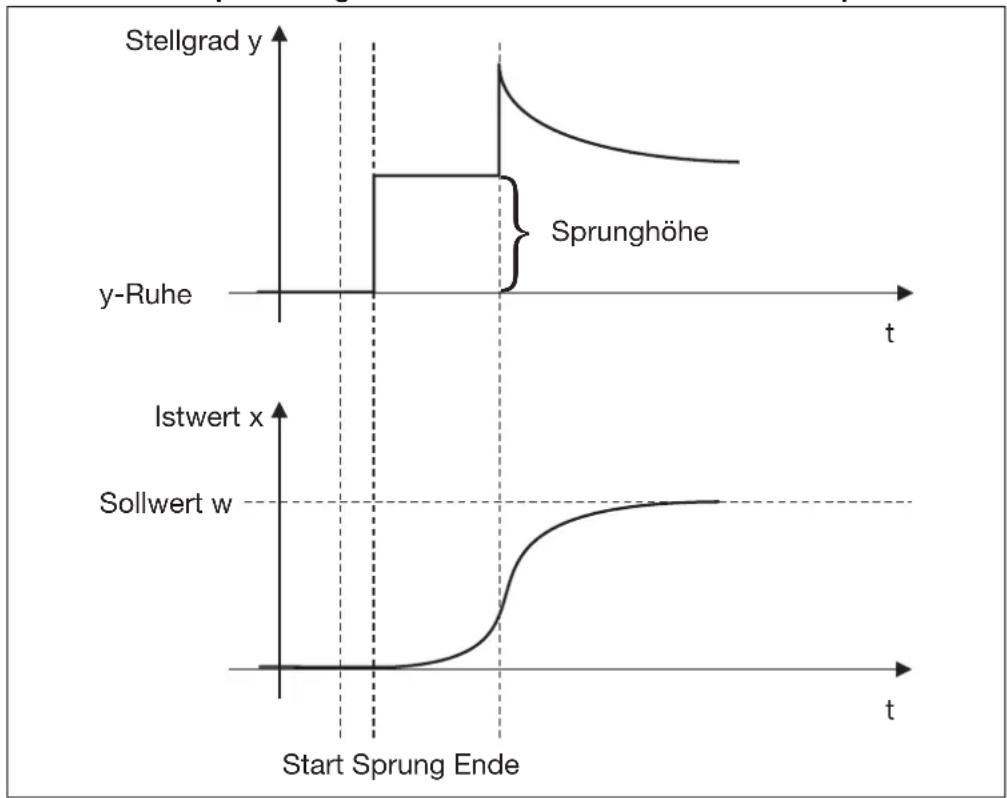 Jumo dTRON 308H - Hauptanwendungen der Sprungantwortmethode: - 2