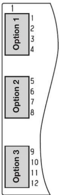 Option 1 1 2 3 4 Option 2 5 6 7 8 Option 3 9 10 11 12