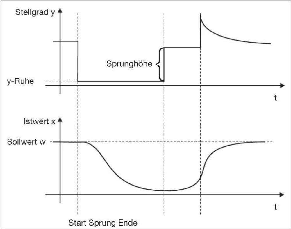Jumo dTRON 308Q - Hauptanwendungen der Sprungantwortmethode: - 3