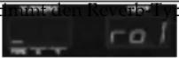 ROLAND Groovebox D2 - Verändern des Reverb-Effektes (ASSIGN 2: REVERB) - 2