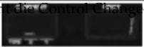 ROLAND Groovebox D2 - Kontrollieren eines externen MIDI-Gerätes (ASSIGN 2: EXT CTRL: External Control) - 3