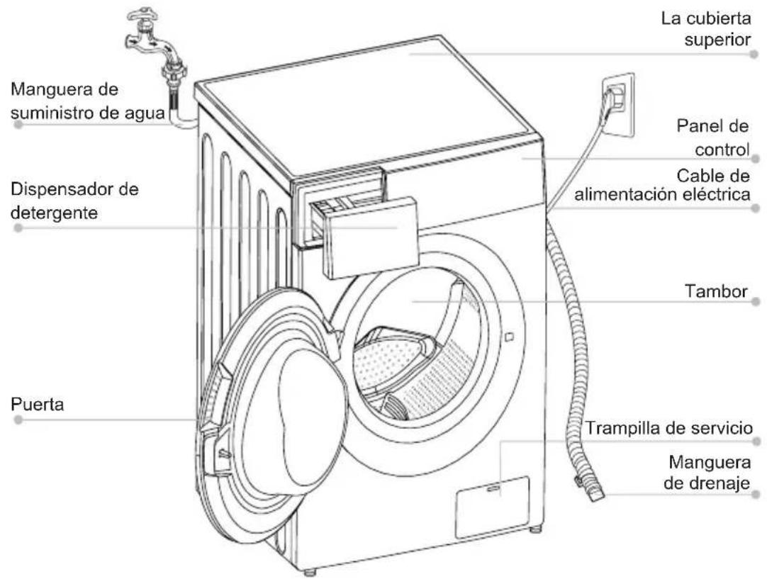 La cubierta superior Manguera de suministro de agua Panel de control Cable de alimentación eléctrica Dispensador de detergente Tambor Puerta Trampilla de servicio Manguera de drenaje
