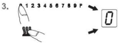 3. 0 1 2 3 4 5 6 7 8 9 P 0