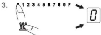 3. 0 1 2 3 4 5 6 7 8 9 P 0