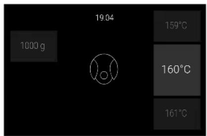 19.04 1000 g 159°C 160°C 161°C