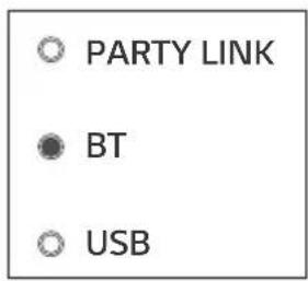 PARTY LINK BT USB