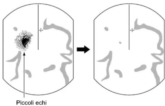 Piccoli echi