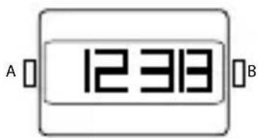 A 12313 B
