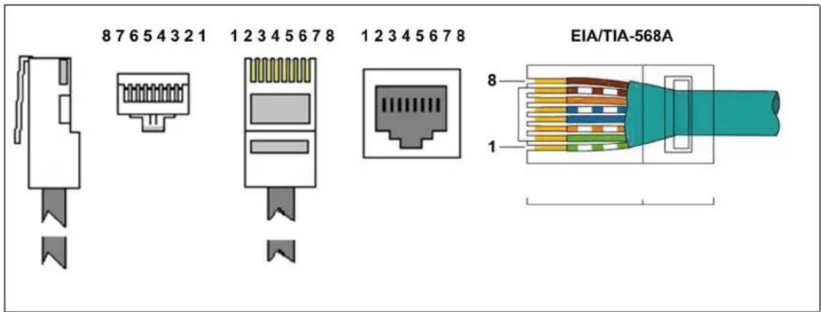 8 7 6 5 4 3 2 1 1 2 3 4 5 6 7 8 1 2 3 4 5 6 7 8 EIA/TIA-568A 8 1