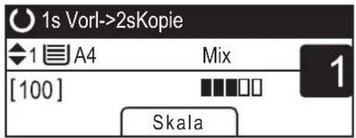 1s Vorl->2sKopie 1 A4 Mix 1 [100] Skala