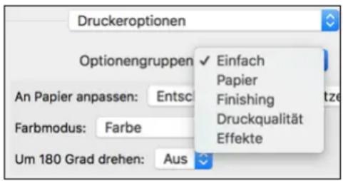 Druckeroptionen Optionengruppen An Papier anpassen: Entsc Farbmodus: Farbe Um 180 Grad drehen: Aus Einfach Papier Finishing Druckqualität Effekte