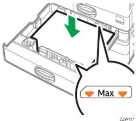 Max DZW137