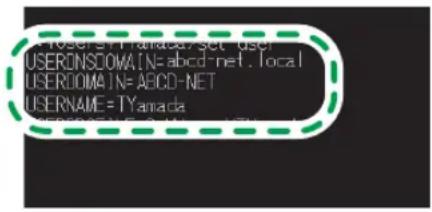 USERSYTHPANACA, set user USERDNSDOMAIN=abcd-net.local USERDOMAIN=ABCD-NET USERNAME=TYamada