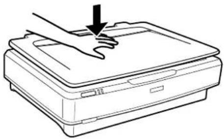EPSON Expression 13000XL Pro - Große oder dicke Originale auflegen - 4