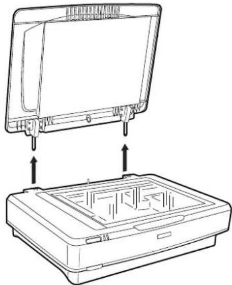 EPSON Expression 13000XL Pro - Große oder dicke Originale auflegen - 2