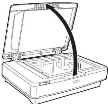 EPSON Expression 13000XL Pro - Auflegen bzw. Platzieren von Vorlagen - 1