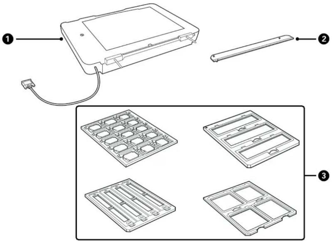 EPSON Expression 13000XL Pro - Entpacken der Durchlichteinheit - 1