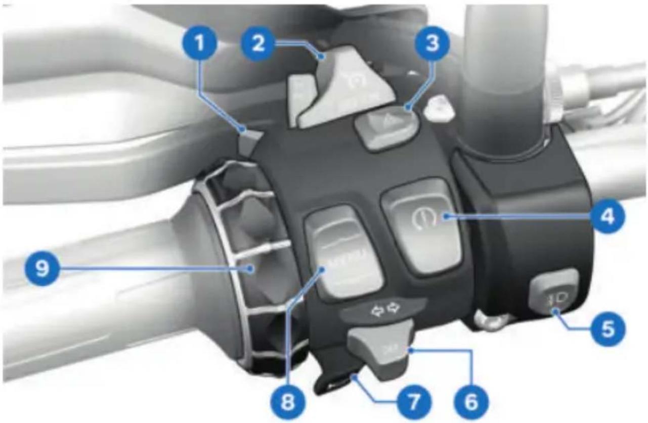 BMW F 900 GS (2025) - KOMBISCHALTER LINKS - 1