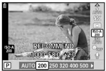 RECOMMEND 1000 F8.0 +2.0 P AUTO 200 250 320 400 500