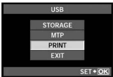 USB STORAGE MTP PRINT EXIT SET + OK