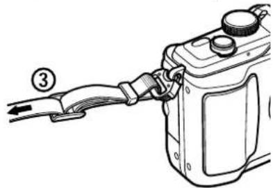 OLYMPUS E-PL2 - Attaching the strap - 2
