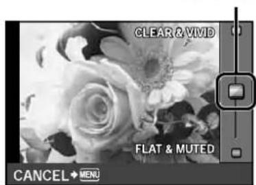CLEAR & VIVD FLAT & MUTED CANCEL ⬆ MENU