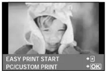EASY PRINT START PC/CUSTOM PRINT OK