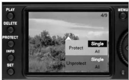 PLAY DELETE PROTECT INFO SET 4/9 Protect Single All Unprotect Single All