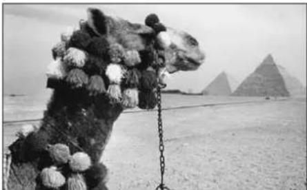 LEICA M8.2 - Example of a positive compensation - 1