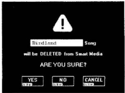 Birdland Song will be DELETED from Smart Media ARE YOU SURE? YES NO CANCEL