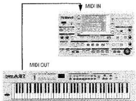 MIDI IN FZeled MIDI OUT