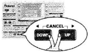 ROLAND DisCover 5M - Cancel - 1