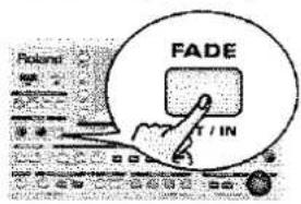 POŁAND FADE T / IN