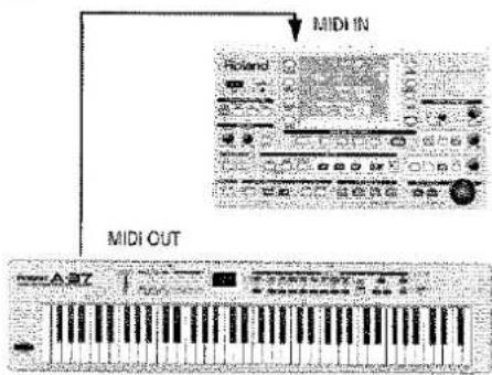 MIDI IN MIDI OUT