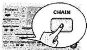 Polaris CHAIN