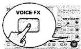 VOICE-FX