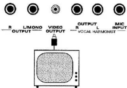 R L/MONO VIDEO OUTPUT R L MIC INPUT OUTPUT VOCAL HARMONIST